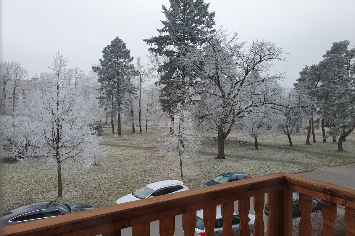 Rodinný dům se 3 bytovými jednotkami